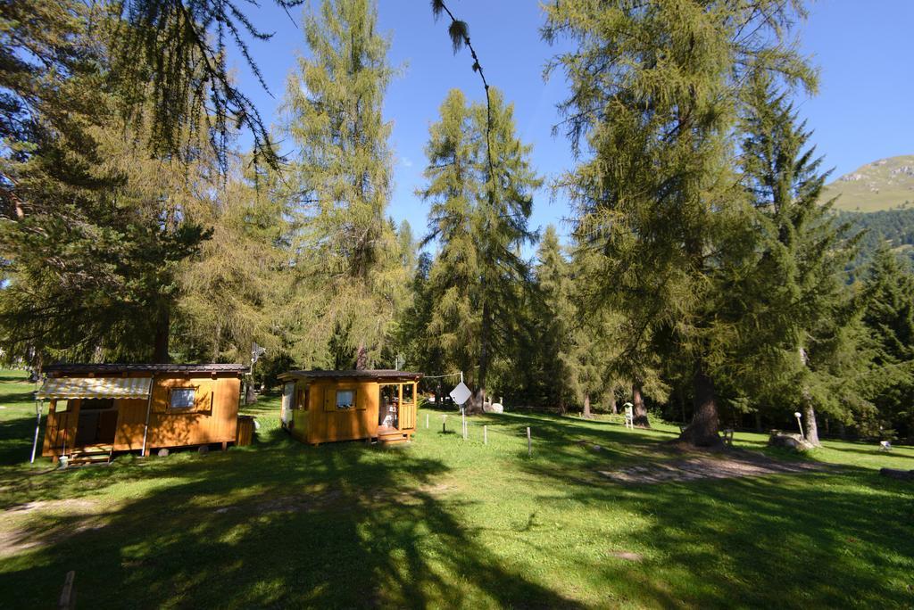 Club Del Sole Val Di Fiemme Easy Camping Village Campsite 2*